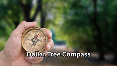 Dollar Tree Compass Affordable Navigation Tools That Inspire Adventure and Creativity