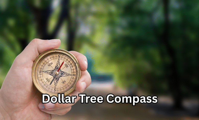Dollar Tree Compass Affordable Navigation Tools That Inspire Adventure and Creativity
